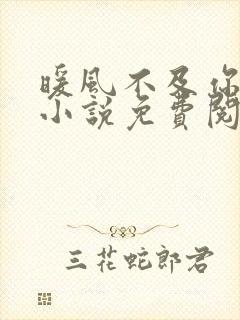 暖风不及你情深小说免费阅读无弹窗