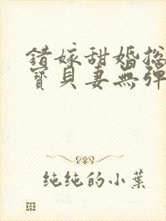 错嫁甜婚总裁的宝贝妻无弹窗