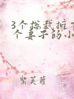 3个总裁拥有一个妻子的小说