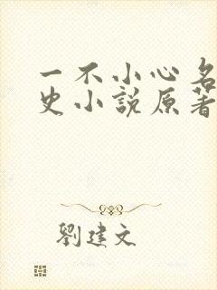 一不小心名垂千史小说原著