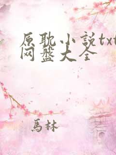原耽小说txt网盘大全