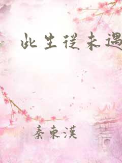 此生从未遇见你