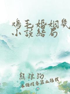 鸡毛婚姻几多愁小说结局