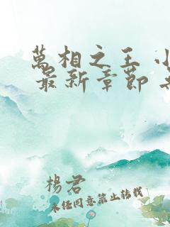 万相之王 小说 最新章节 无弹窗