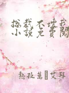 总裁不坏我不爱小说免费阅读