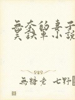 无奈的妻子丁洁吴铁军小说在线阅读