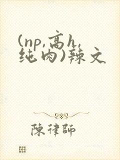 (np,高h,纯肉)辣文