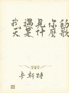 我遇见你的那一天是什么歌里的歌词