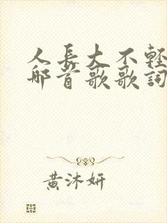 人长大不轻松是哪首歌歌词