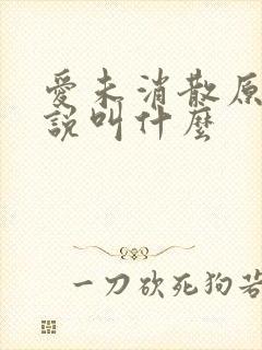 爱未消散原著小说叫什么