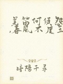 羌笛何须怨杨柳,春风不度玉门关翻译