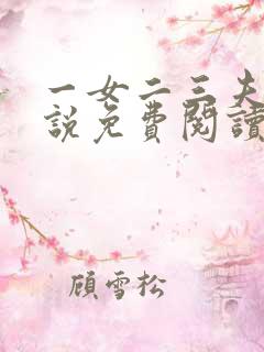 一女二三夫的小说免费阅读