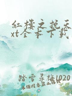 红楼之挽天倾txt全本下载