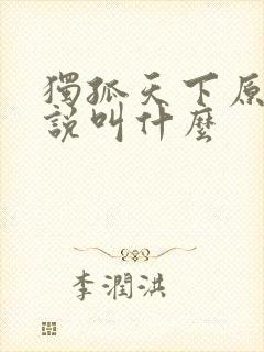 独孤天下原著小说叫什么