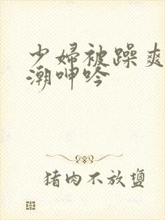 少妇被躁爽到高潮呻吟