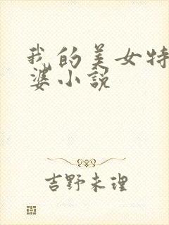 我的美女特工老婆小说