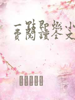 一点即燃小说免费阅读全文无弹窗