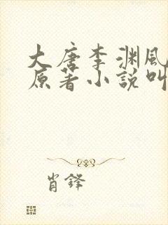 大唐李渊风流录原著小说叫什么名字