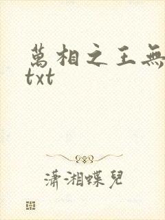 万相之王无删减txt
