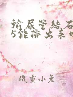 输尿管结石0.5能排出来吗