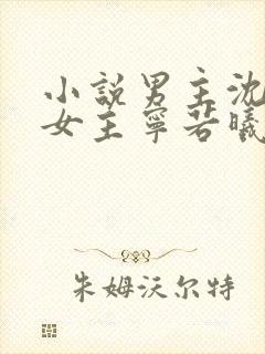 小说男主沈砚舟女主宁若曦