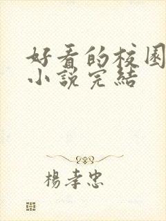 好看的校园言情小说完结