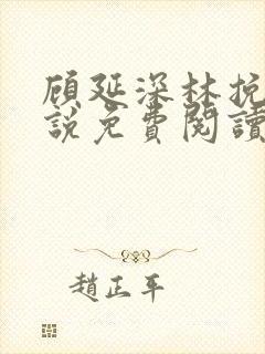 顾延深林挽音小说免费阅读最新章节