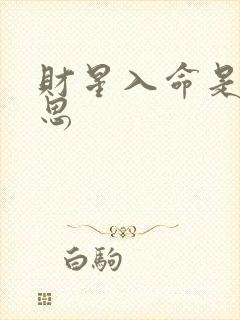 财星入命是啥意思