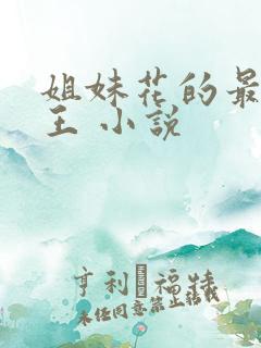 姐妹花的最强兵王 小说