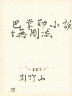 巴掌印小说txt无删减