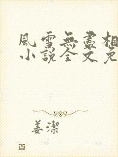 风雪无尽相思情小说全文免费阅读