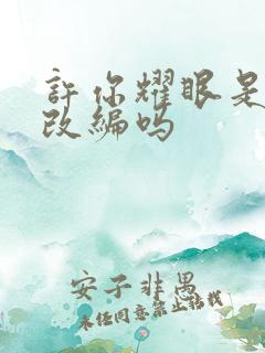 许你耀眼是小说改编吗