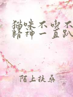 猫咪不吃不喝没精神一直趴着