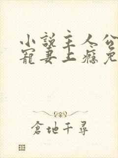 小说主人公叔他宠妻上瘾免费阅读