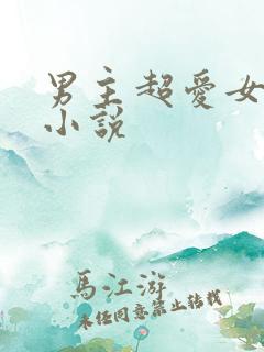 男主超爱女主的小说