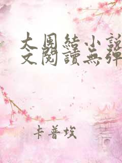 大团结小说集全文阅读无弹窗