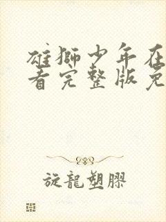 雄狮少年在线观看完整版免费下载