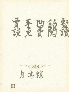 贾平凹的暂坐小说免费阅读