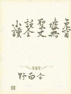 小说圣墟免费阅读全文无窗口