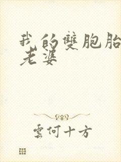 我的双胞胎总裁老婆