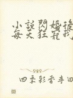 小说闪婚后大叔每天狂宠我完整版