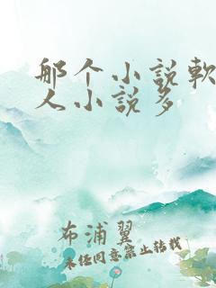 那个小说软件同人小说多