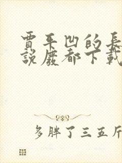 贾平凹的长篇小说废都下载