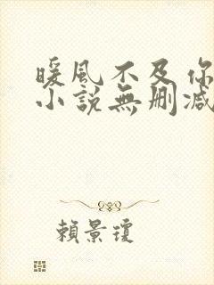 暖风不及你情深小说无删减在线阅读