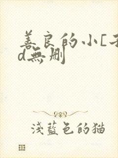善良的小[子hd无删