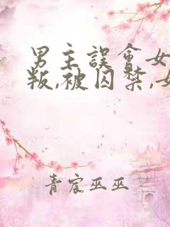 男主误会女主背叛,被囚禁,女主很爱男