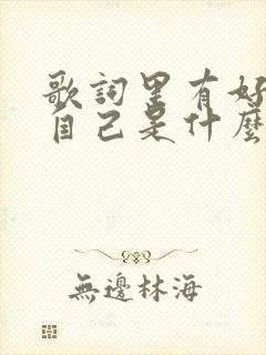 歌词里有好好爱自己是什么歌