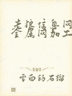 老狼信息网贰佰金属网加工 特色