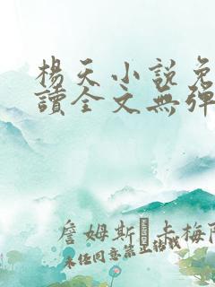 杨天小说免费阅读全文无弹窗