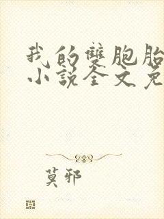 我的双胞胎老婆小说全文免费阅读